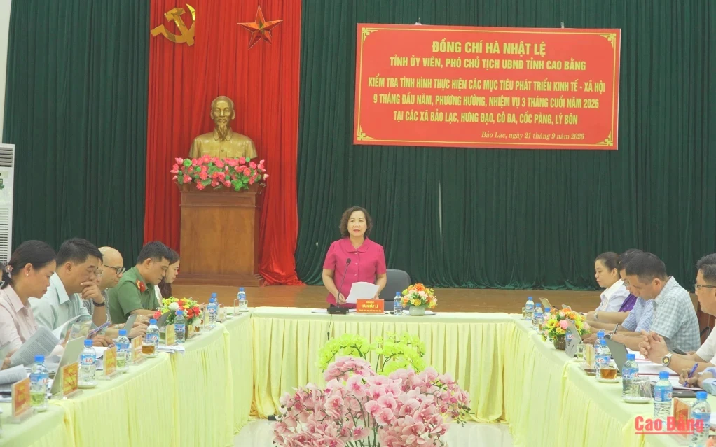 Phó Chủ tịch UBND tỉnh Hà Nhật Lệ phát biểu kết luận.