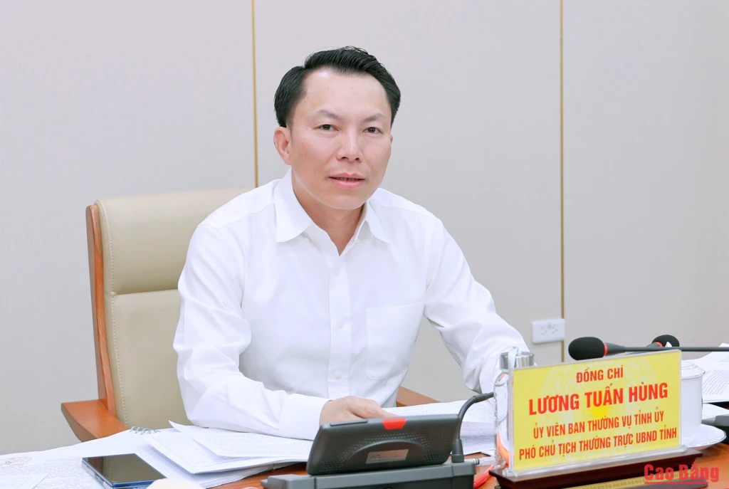 Phó Chủ tịch Thường trực UBND tỉnh Lương Tuấn Hùng phát biểu kết luận cuộc họp.