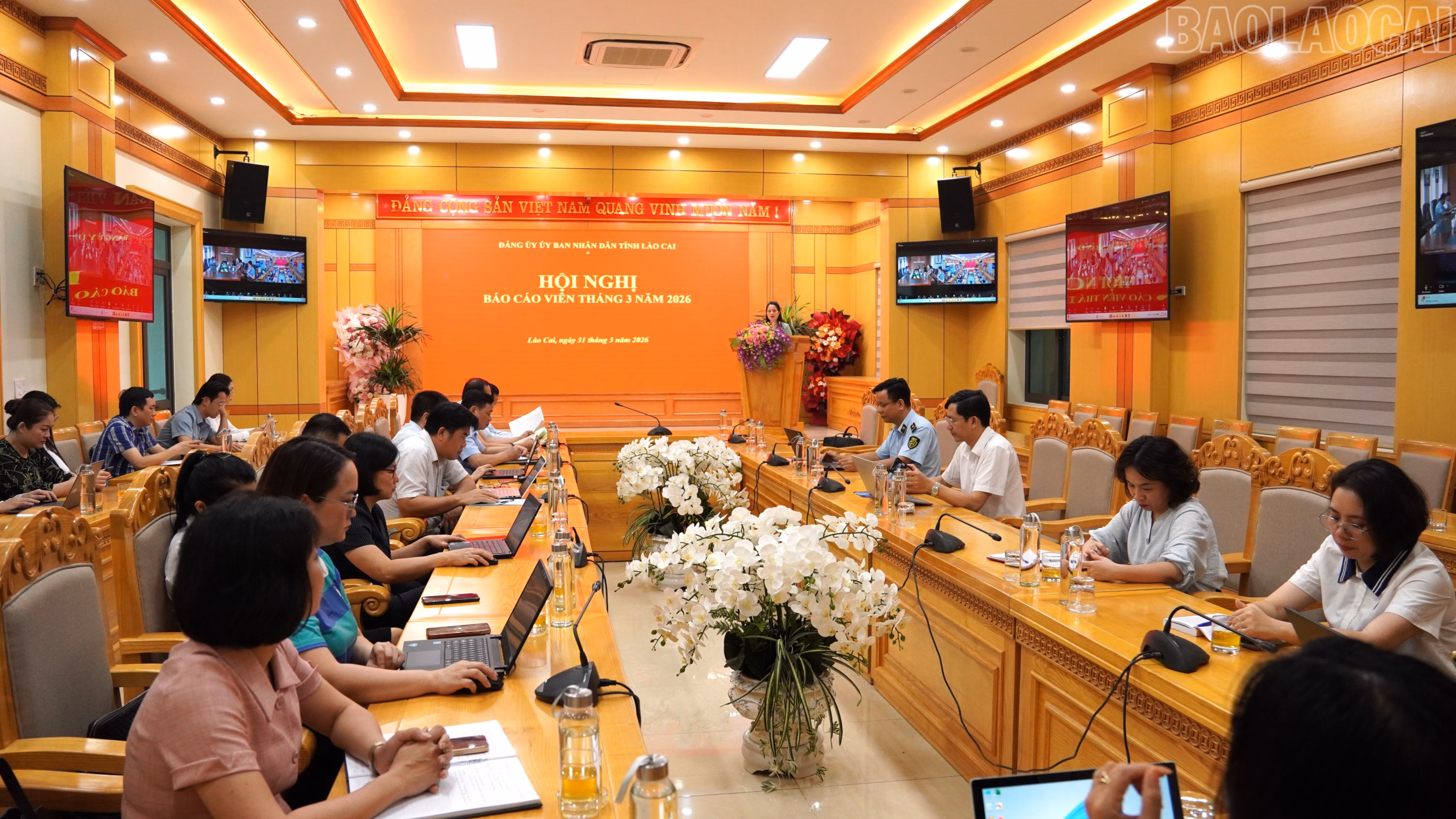 baolaocai-tr_3-949.jpg