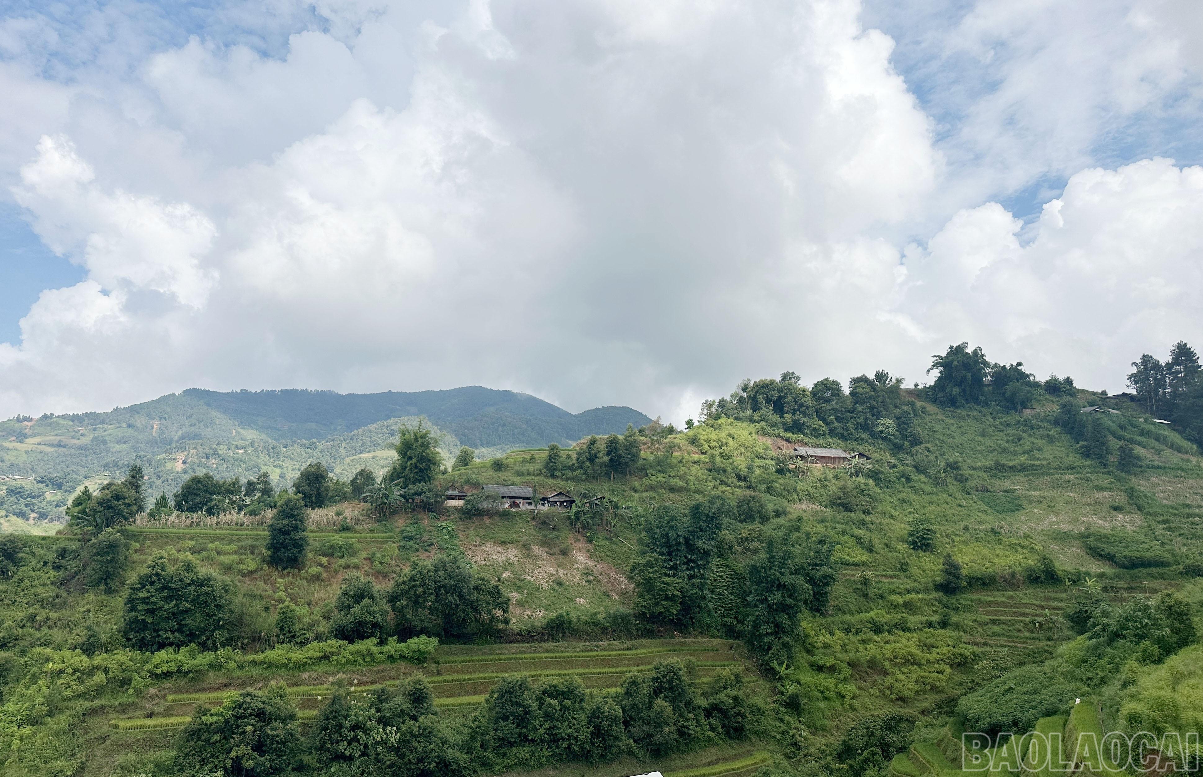 Nơi này đã từng có con đường mòn dẫn vào bản. Nơi này đã từng có con đường mòn dẫn vào bản.
