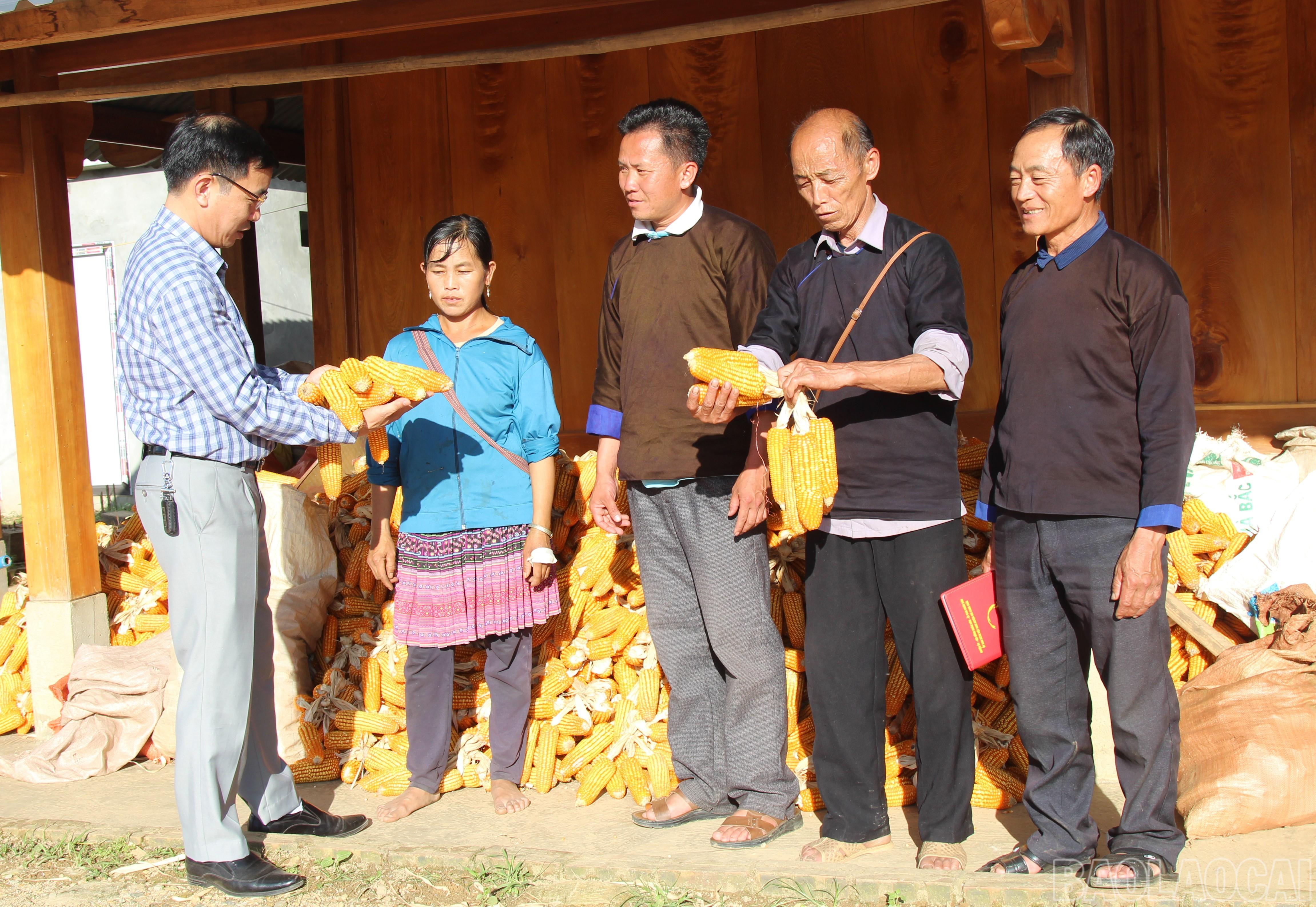 Bí thư Đảng uỷ Phạm Văn Quynh chia sẻ về công tác phát triển đảng viên ở Háng Blaha B với các đảng viên Chi bộ Háng Blaha A. baolaocai-br_10.jpg