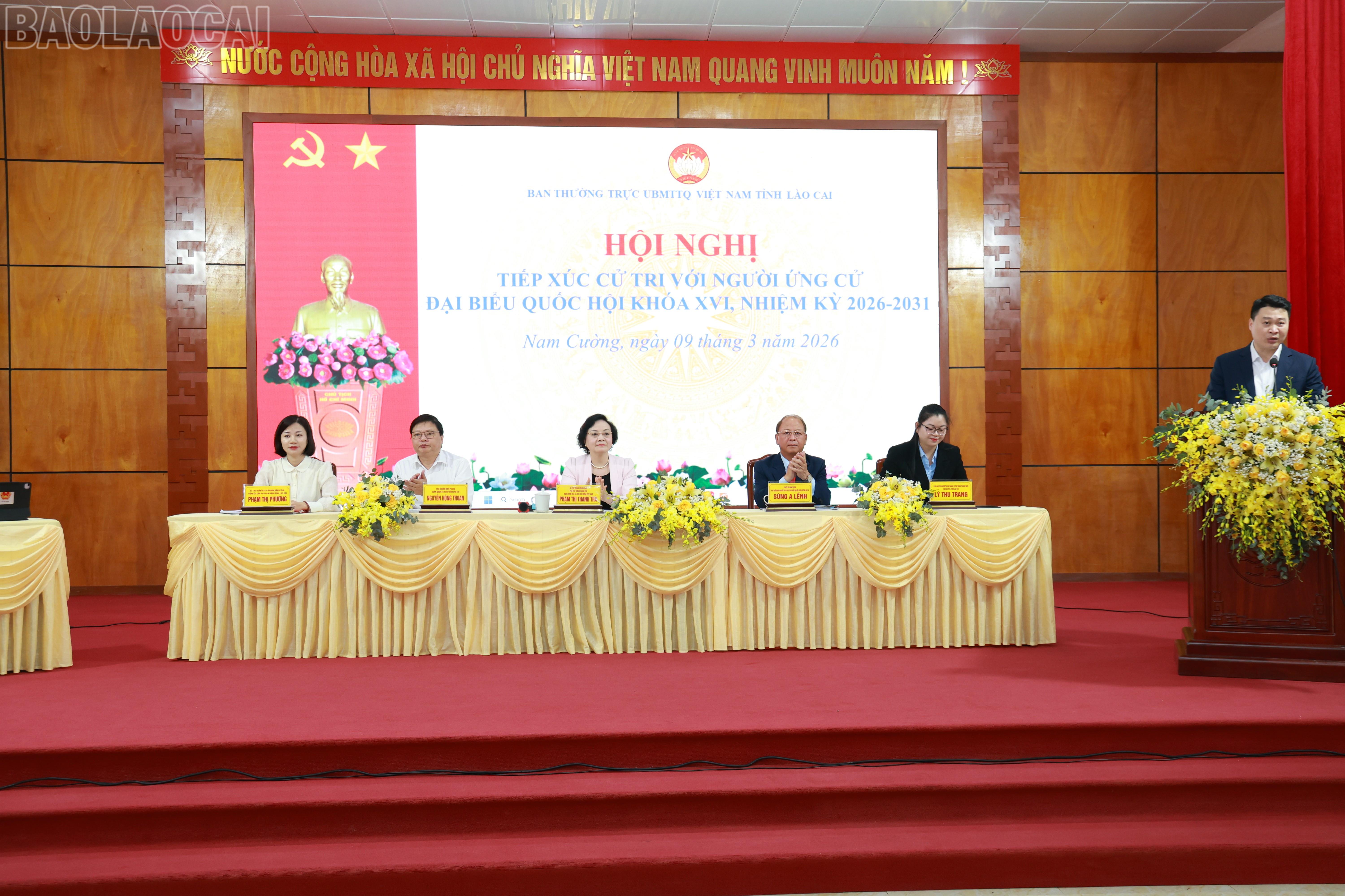 baolaocai-tl_060a7413.jpg