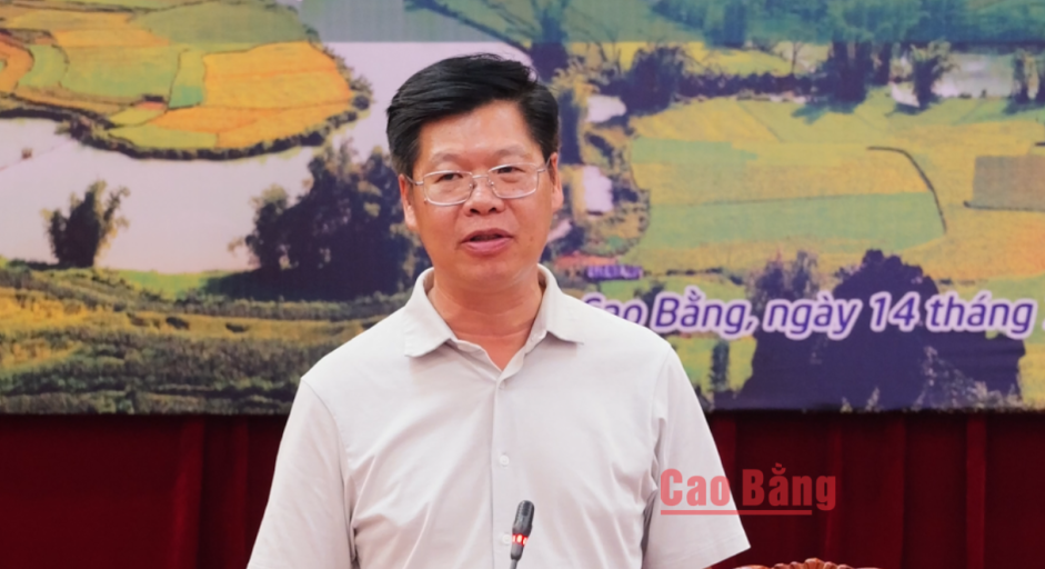 Giám đốc Sở Văn hóa, Thể thao và Du lịch Tô Vũ Ninh kết luận hội thảo.