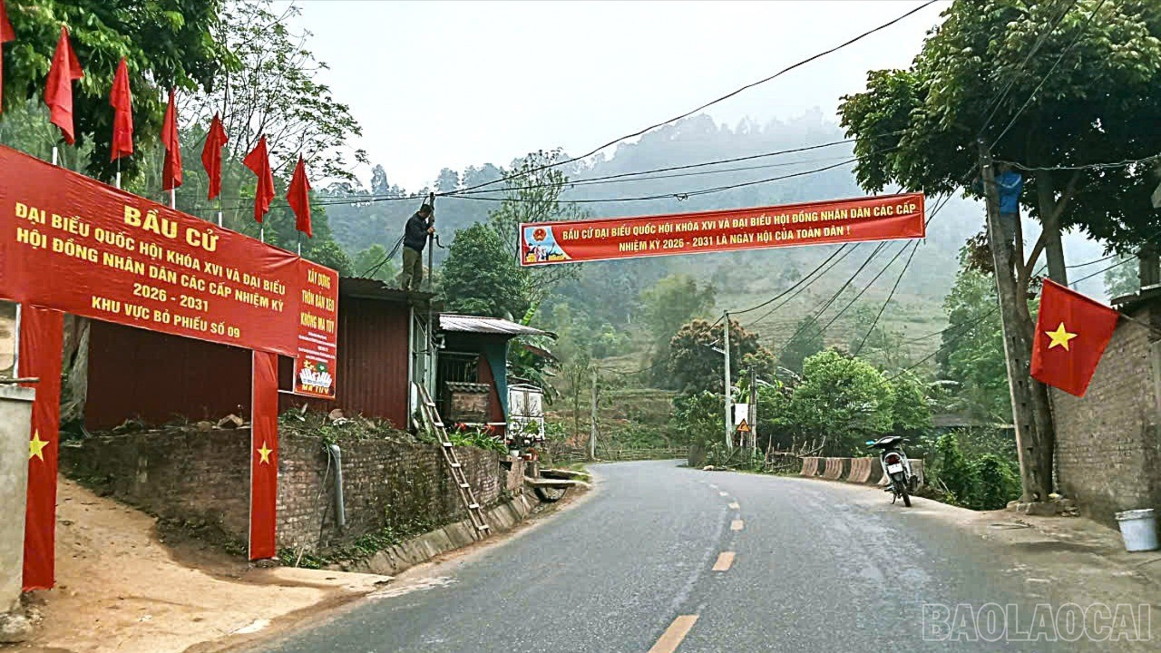 baolaocai-br_1-1808.jpg