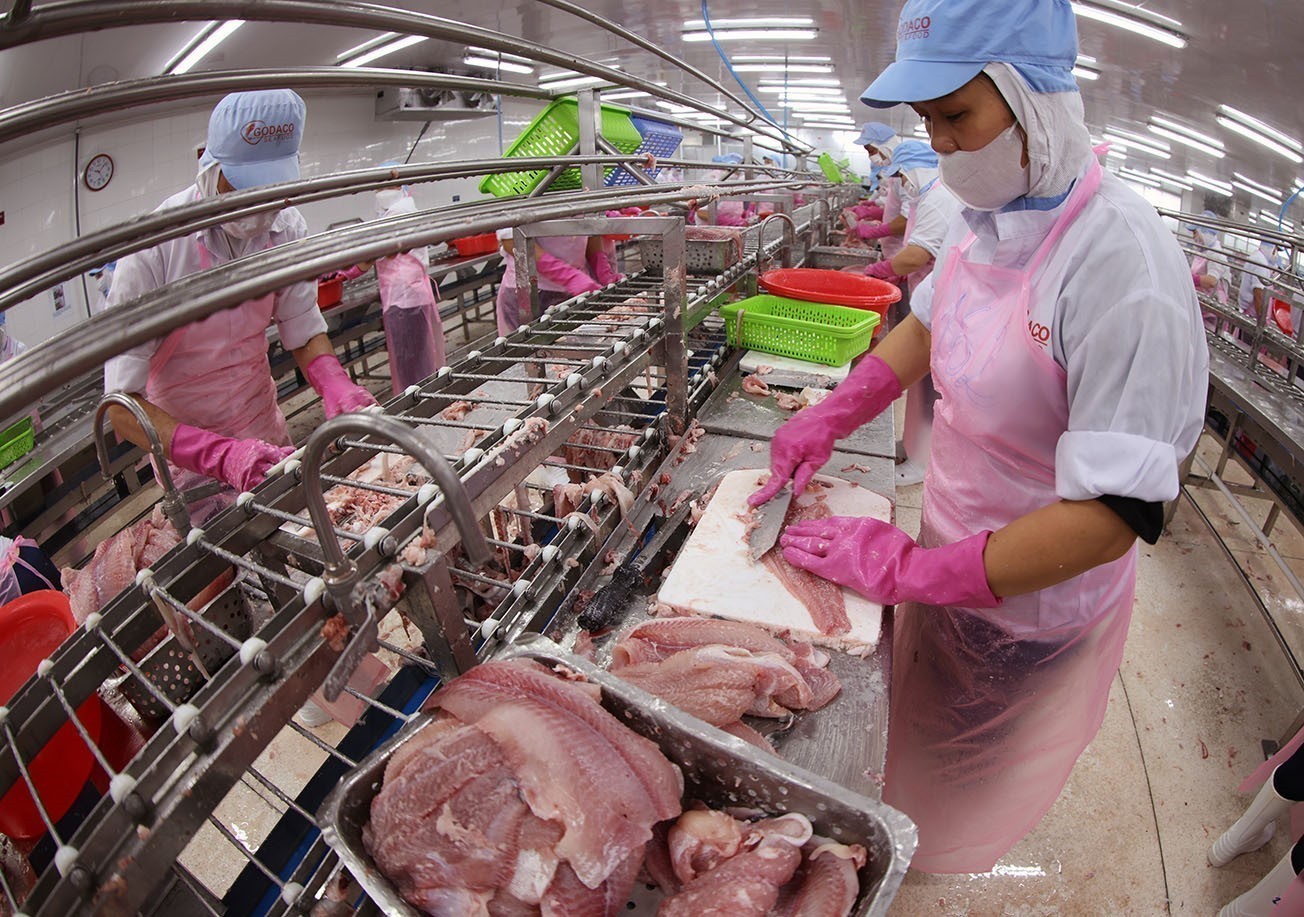 Chế biến sản phẩm c&aacute; tra phi l&ecirc; xuất khẩu ở nh&agrave; m&aacute;y của C&ocirc;ng ty CP G&ograve; Đ&agrave;ng Tiền Giang.