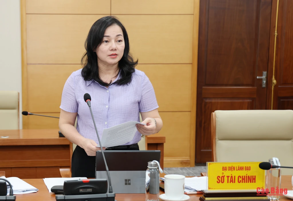 Lãnh đạo Sở Tài chính báo cáo kết quả thực hiện kế hoạch đầu tư công trung hạn giai đoạn 2021 - 2025 nguồn vốn ngân sách địa phương.