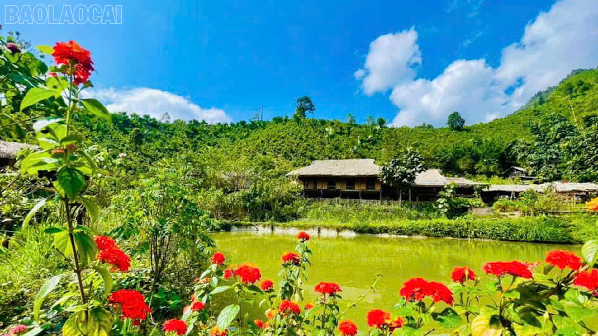 baolaocai-tl_phu-nu-7.jpg