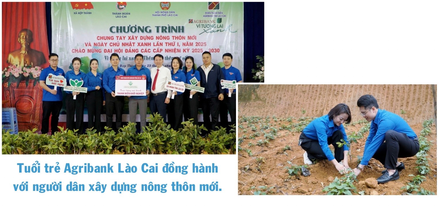 ngo-thu-nhap-bap-benh-trong-khi-chuoi-bi-benh-khien-gia-dinh-anh-ho-gap-kho-394-8678.jpg