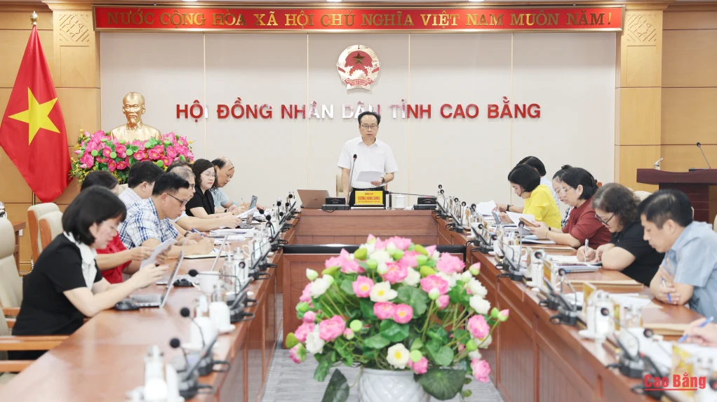 Trưởng Ban Kinh tế - Ngân sách HĐND tỉnh Dương Hùng Dũng phát biểu kết luận cuộc họp.