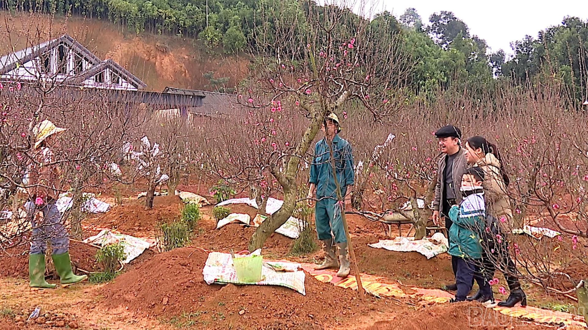 baolaocai-br_cuoc-song-xanh00-31-18-21still031.jpg