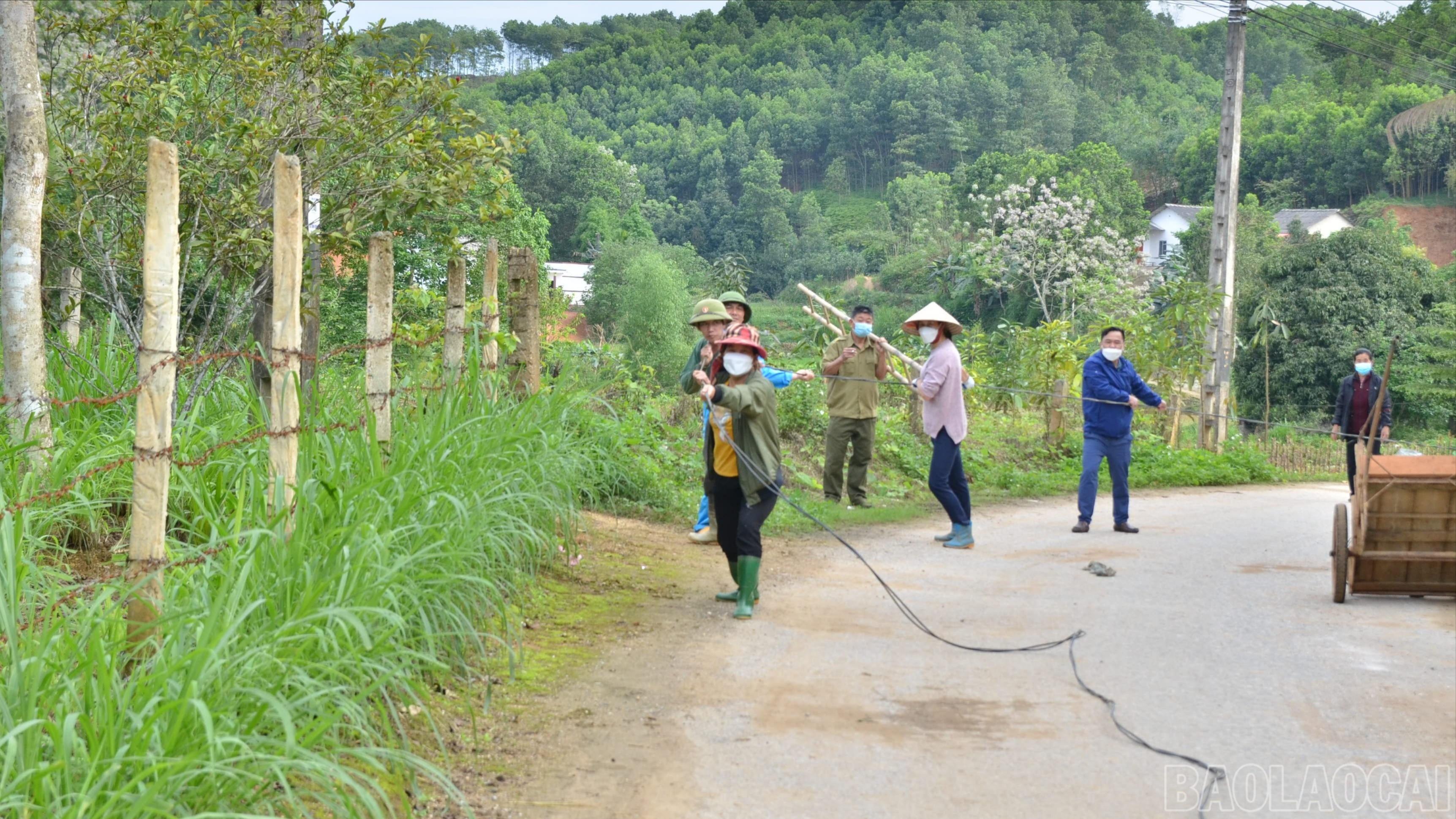 baolaocai-br_dsc-4793-8415.jpg