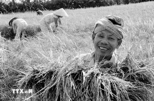 Niềm vui được m&ugrave;a của người n&ocirc;ng d&acirc;n Việt Nam sau khi đất nước bước v&agrave;o thời kỳ Đổi mới.