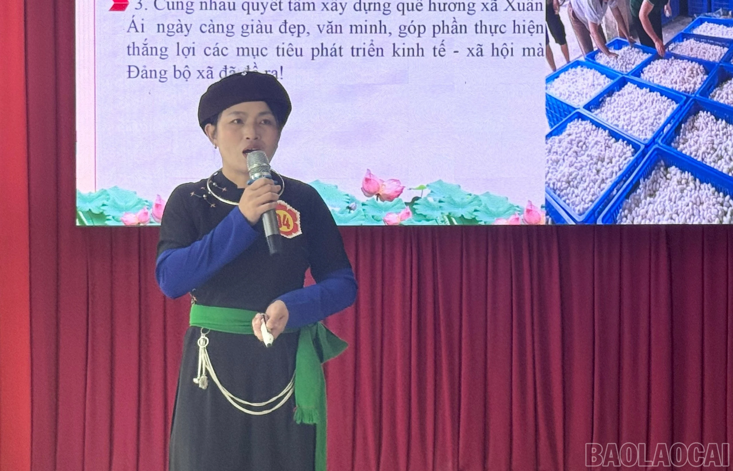baolaocai-br_thuyetrinh3-4378.jpg