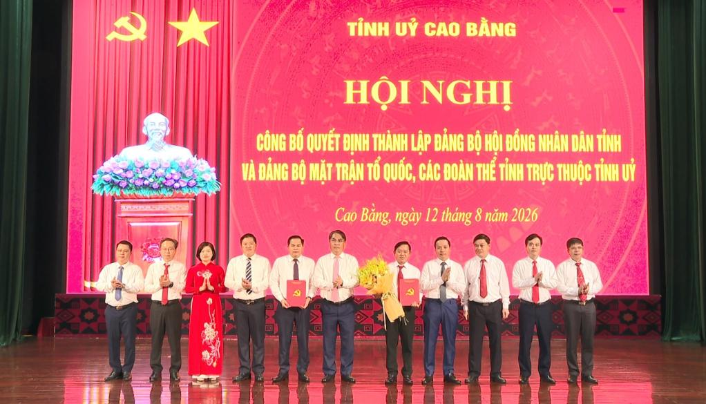 Bí thư Tỉnh ủy, Chủ tịch HĐND tỉnh Phan Thăng An trao quyết định thành lập Đảng bộ HĐND tỉnh trực thuộc Tỉnh ủy.
