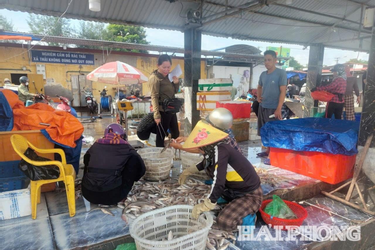 Người dân phường Đồ Sơn cung cấp thủy sản cho thương lái