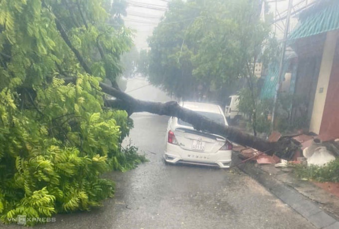 z6943414045128-31a9c8dd2281921-9836-7983