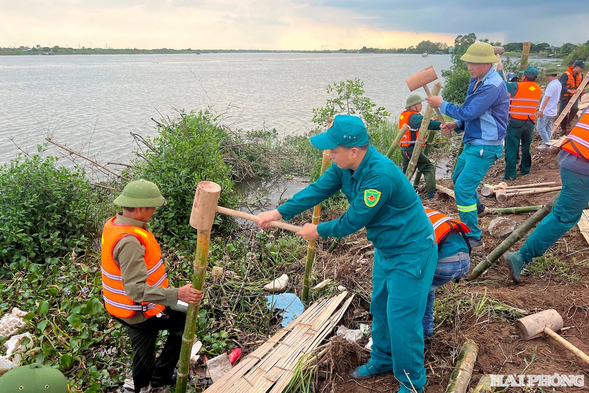 dien tap Quang Hung1