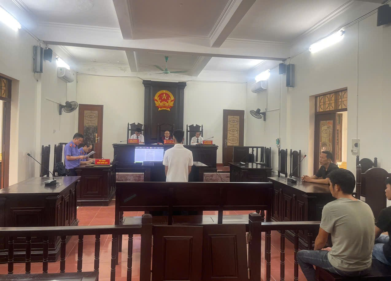 kv11 tổ chức phiên toà