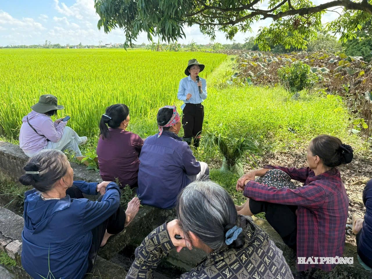 Cán bộ Trạm Khuyến nông khu vực 1 tập huấn đầu bờ cho nông dân xã Hồng Châu.
