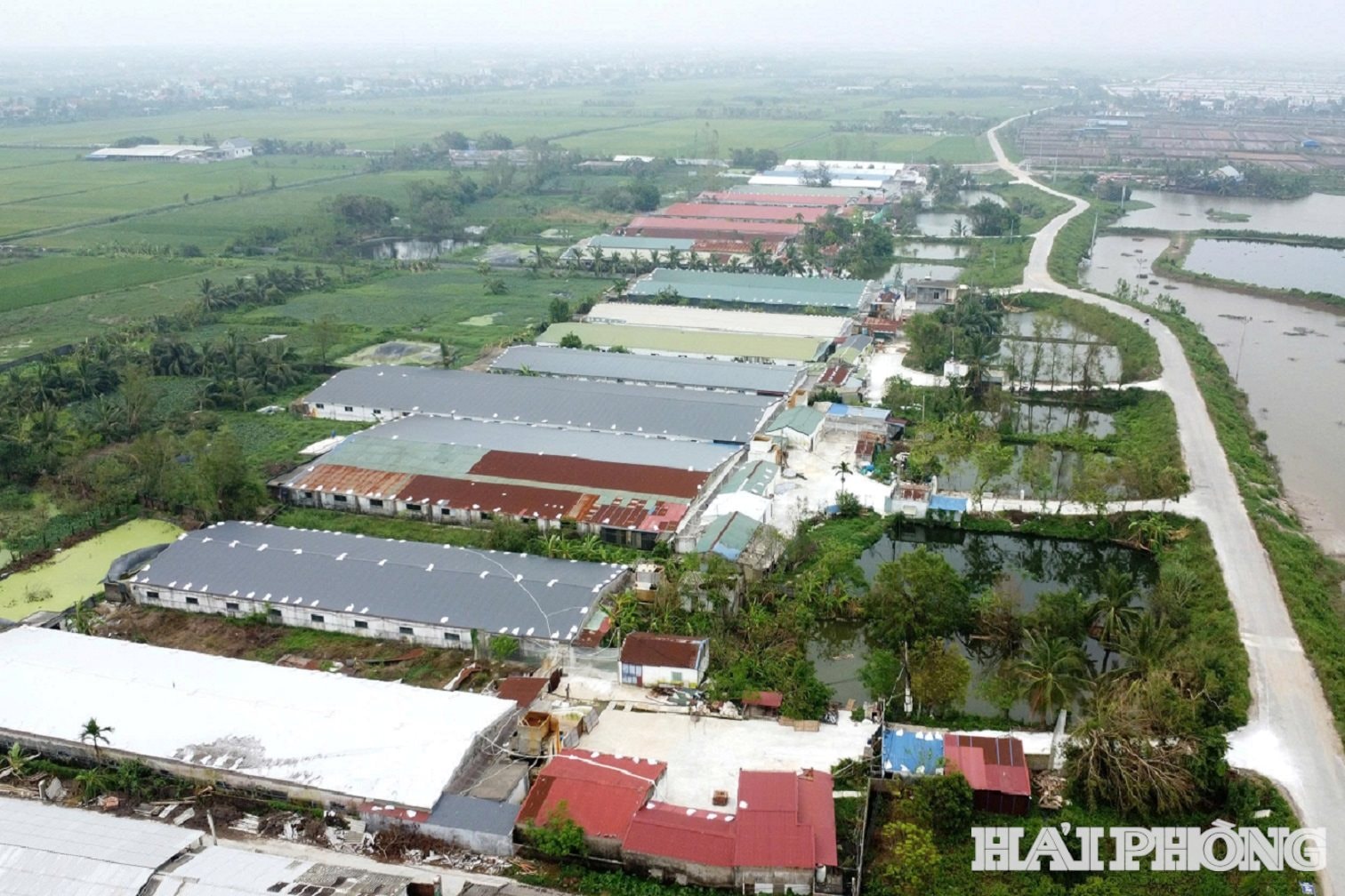 trang-trai-chan-nuoi(1).jpg