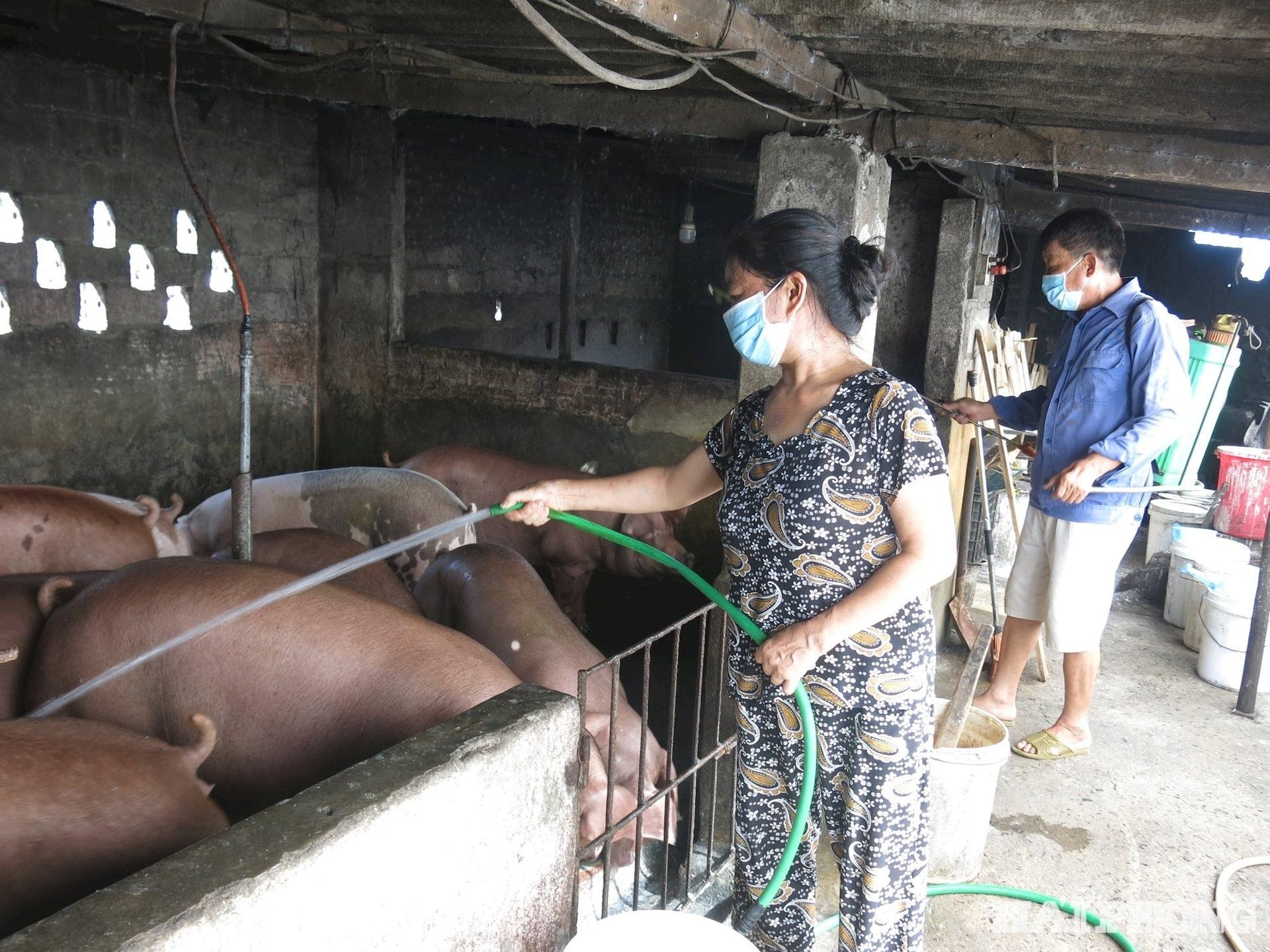 chan-nuoi-an-duong.jpg