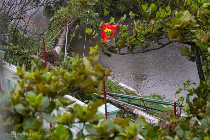 z6942770503088-41a7971db2f58cd-9168-2332