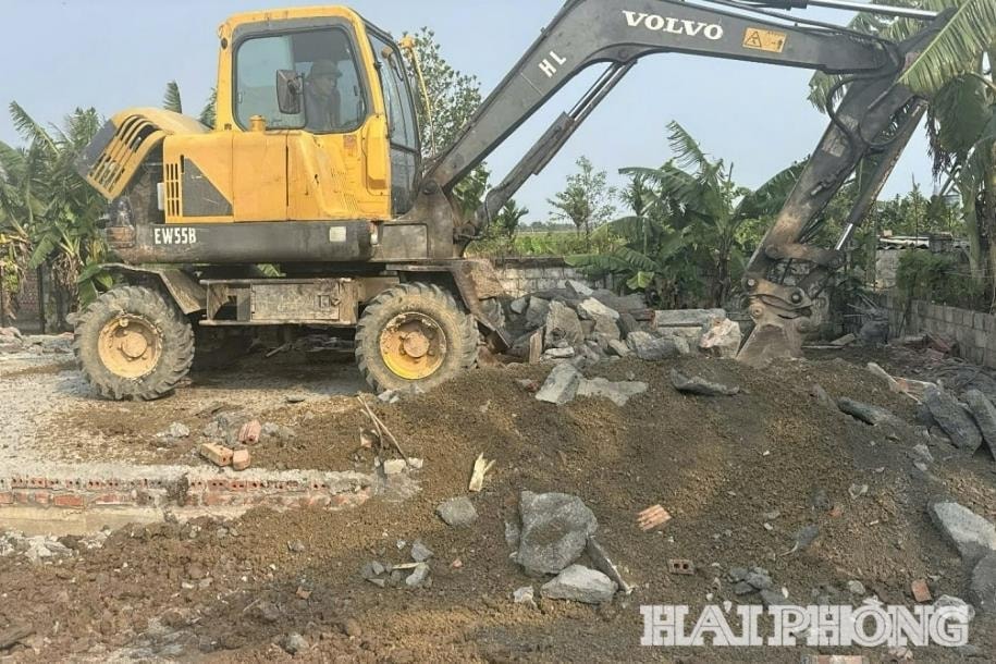 vi pham dat dai o vinh bao