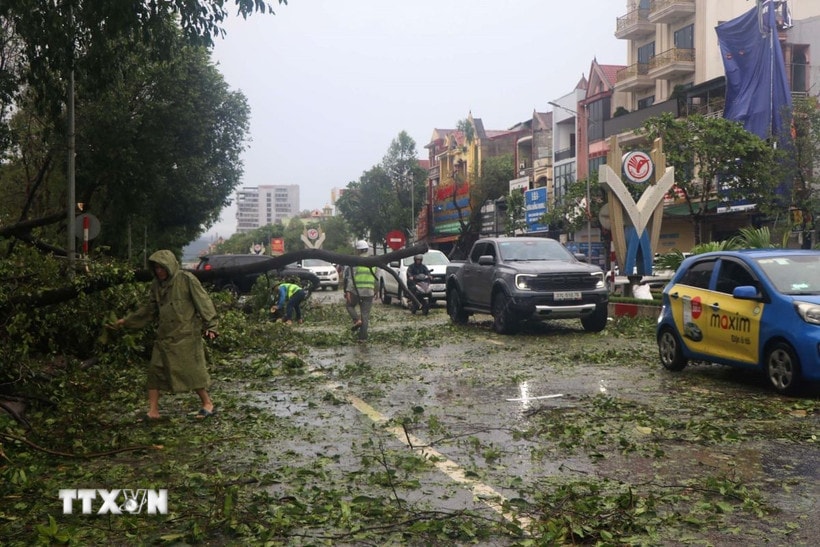 Nhiều cây xanh bị đổ gãy tại đường Lê Duẩn, phường Thành Vinh (Nghệ An). (Ảnh: Trịnh Duy Hưng/TTXVN)