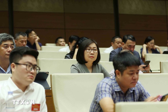 Các đại biểu tham dự hội nghị. (Ảnh: TTXVN)