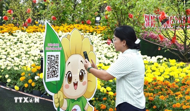 Người dân quét mã QR code để tra cứu thông tin bầu cử từ mô hình “bé cúc” Sa Đéc gắn mã QR. (Ảnh: TTXVN)