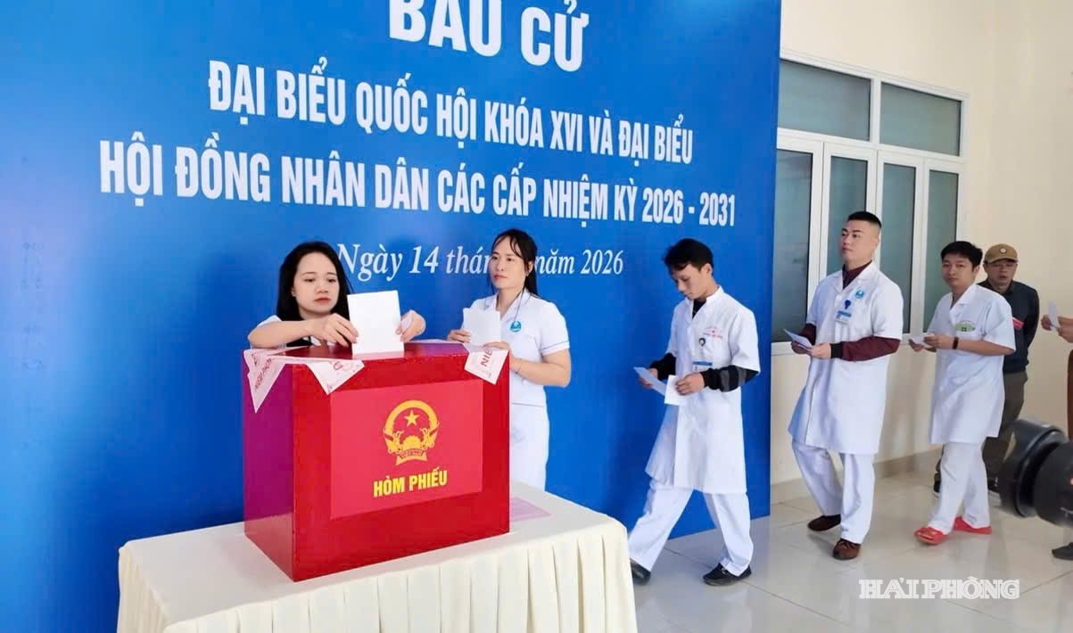 bau-cu.jpg