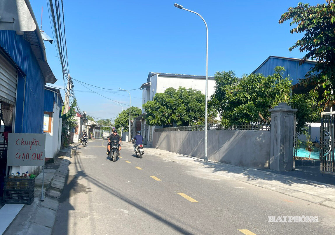 nam - trieu (2)