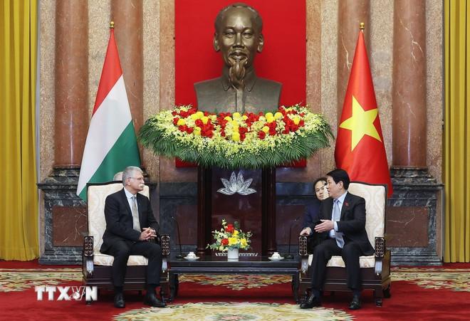 Chủ tịch nước Lương Cường tiếp Chủ tịch Quốc hội Hungary Kover Laszlo. (Ảnh: Lâm Khánh/TTXVN) ttxvn-2010-chu-tich-nuoc-viet-nam-hungary-3.jpg
