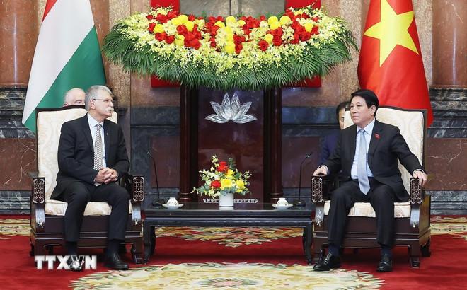 Chủ tịch nước Lương Cường tiếp Chủ tịch Quốc hội Hungary Kover Laszlo. (Ảnh: Lâm Khánh/TTXVN) ttxvn-2010-chu-tich-nuoc-viet-nam-hungary-4.jpg