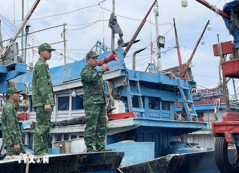 Bộ đội biên phòng dùng loa phóng thanh kêu gọi các tàu cá sắp xếp neo đậu an toàn tại cảng cá Sa Huỳnh. (Ảnh: Phạm Cường/TTXVN)