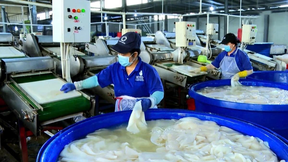 7 nghi quyet chien luoc Don bay phat trien va tang truong ben vung cua viet nam hinh anh 3