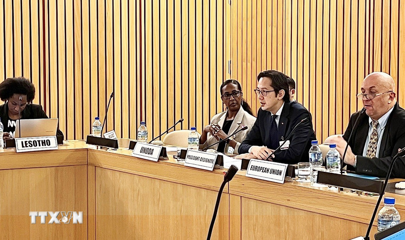 Đại sứ Đỗ H&ugrave;ng Việt chủ tr&igrave; Hội nghị tham vấn d&agrave;nh cho c&aacute;c nước th&agrave;nh vi&ecirc;n khu vực ch&acirc;u Phi của Hiệp ước Kh&ocirc;ng phổ biến vũ kh&iacute; hạt nh&acirc;n (NPT) th&aacute;ng 11/2025. (Ảnh: TTXVN ph&aacute;t)