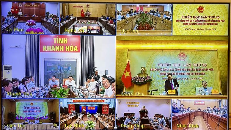 Thủ tướng: Phải thực hiện mục tiêu kép chống khai thác IUU và phát triển nghề cá bền vững- Ảnh 6. Thủ tướng: Phải thực hiện mục tiêu kép chống khai thác IUU và phát triển nghề cá bền vững- Ảnh 6.