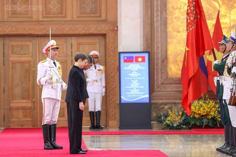 Thủ tướng Lê Minh Hưng chủ trì lễ đón chính thức Thủ tướng Liechtenstein- Ảnh 4.