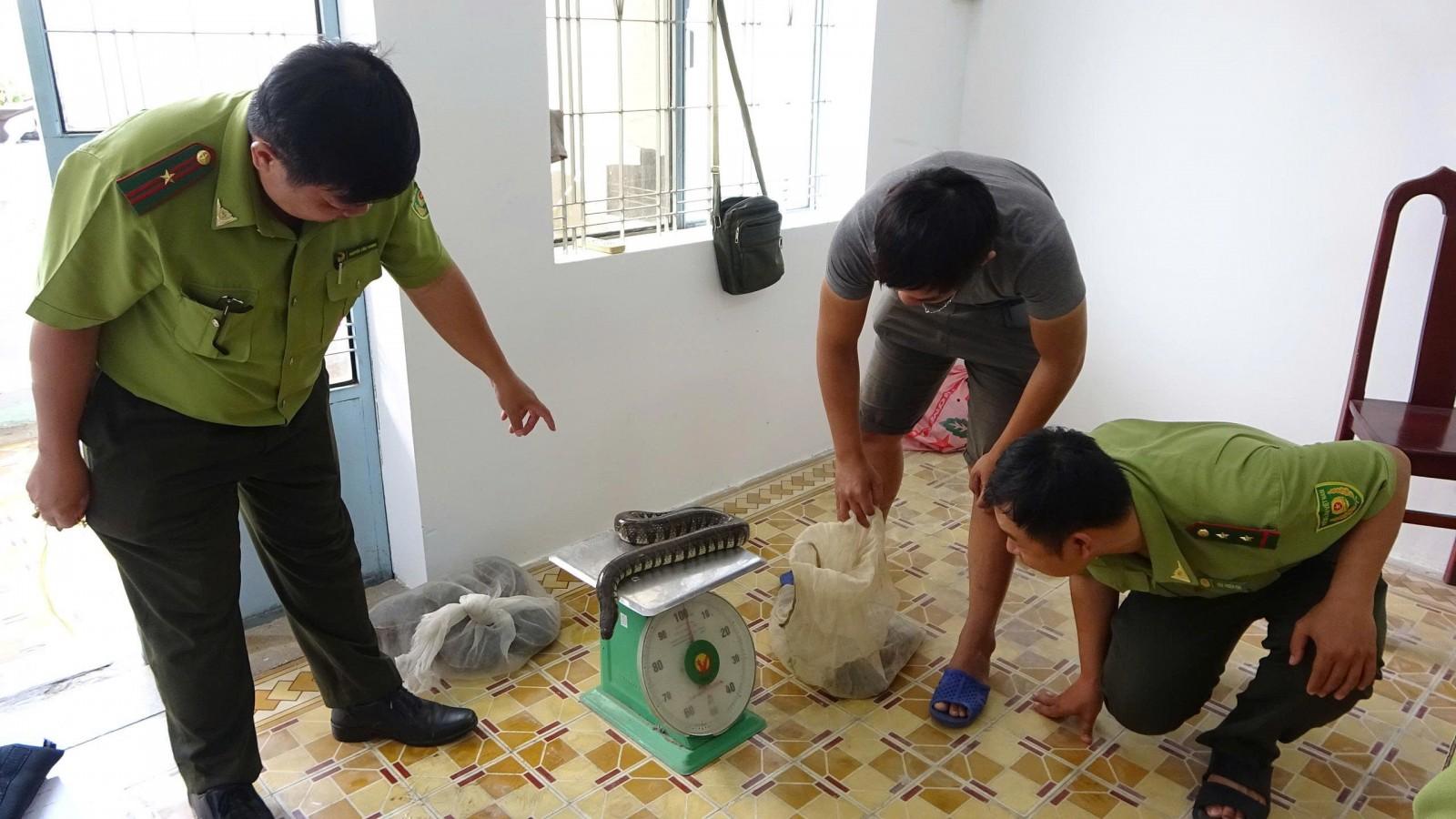 An Giang vận động người dân tự nguyện giao nộp cá thể động vật hoang dã