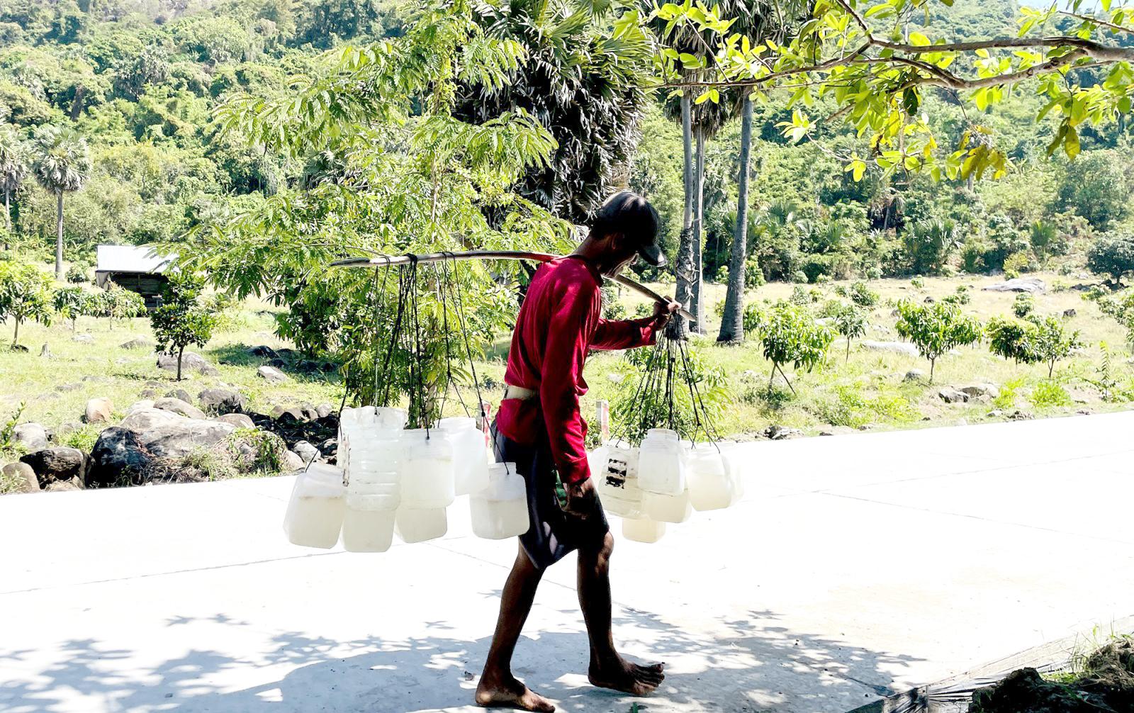 Mùa nấu đường thốt nốt của đồng bào Khmer