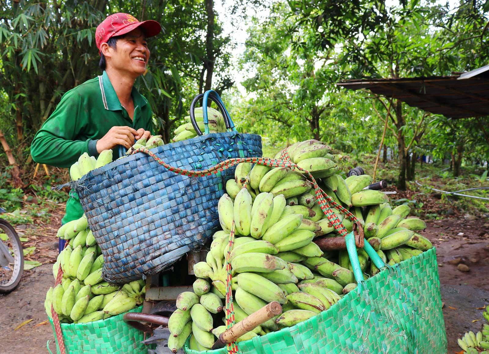 Trầm mặc Ngọa Long Sơn