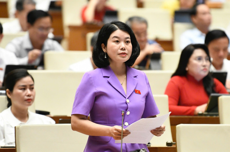 Đại biểu Nguyễn Thị Huế, Phó Chủ tịch Hội Liên hiệp Phụ nữ tỉnh phát biểu thảo luận. img-7528.jpg