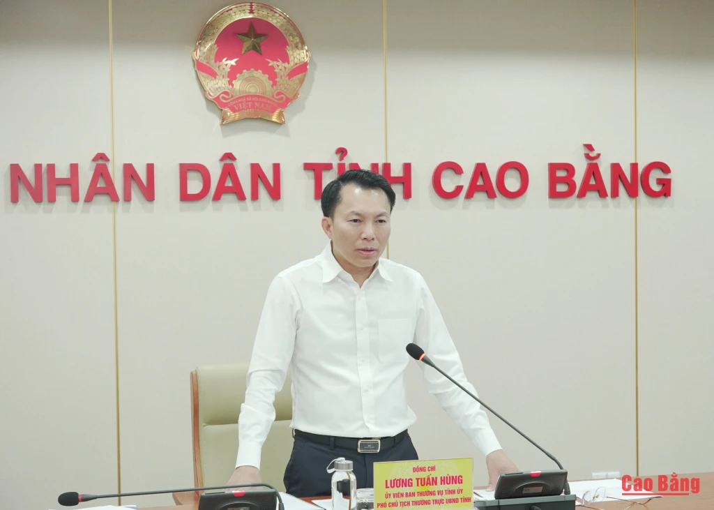 Phó Chủ tịch Thường trực UBND tỉnh Lương Tuấn Hùng phát biểu kết luận.