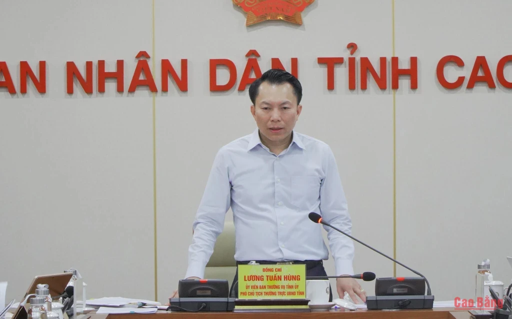 Phó Chủ tịch Thường trực UBND tỉnh Lương Tuấn Hùng phát biểu kết luận.