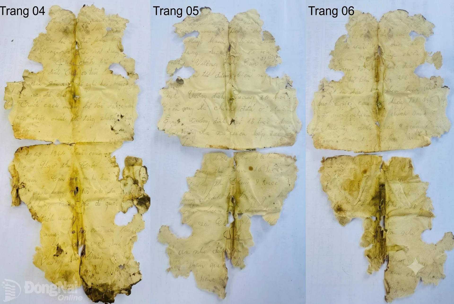 Lá đơn viết tay dài 6 trang xin vào Đảng của liệt sĩ được đơn vị cung cấp. Ảnh: ĐVCC