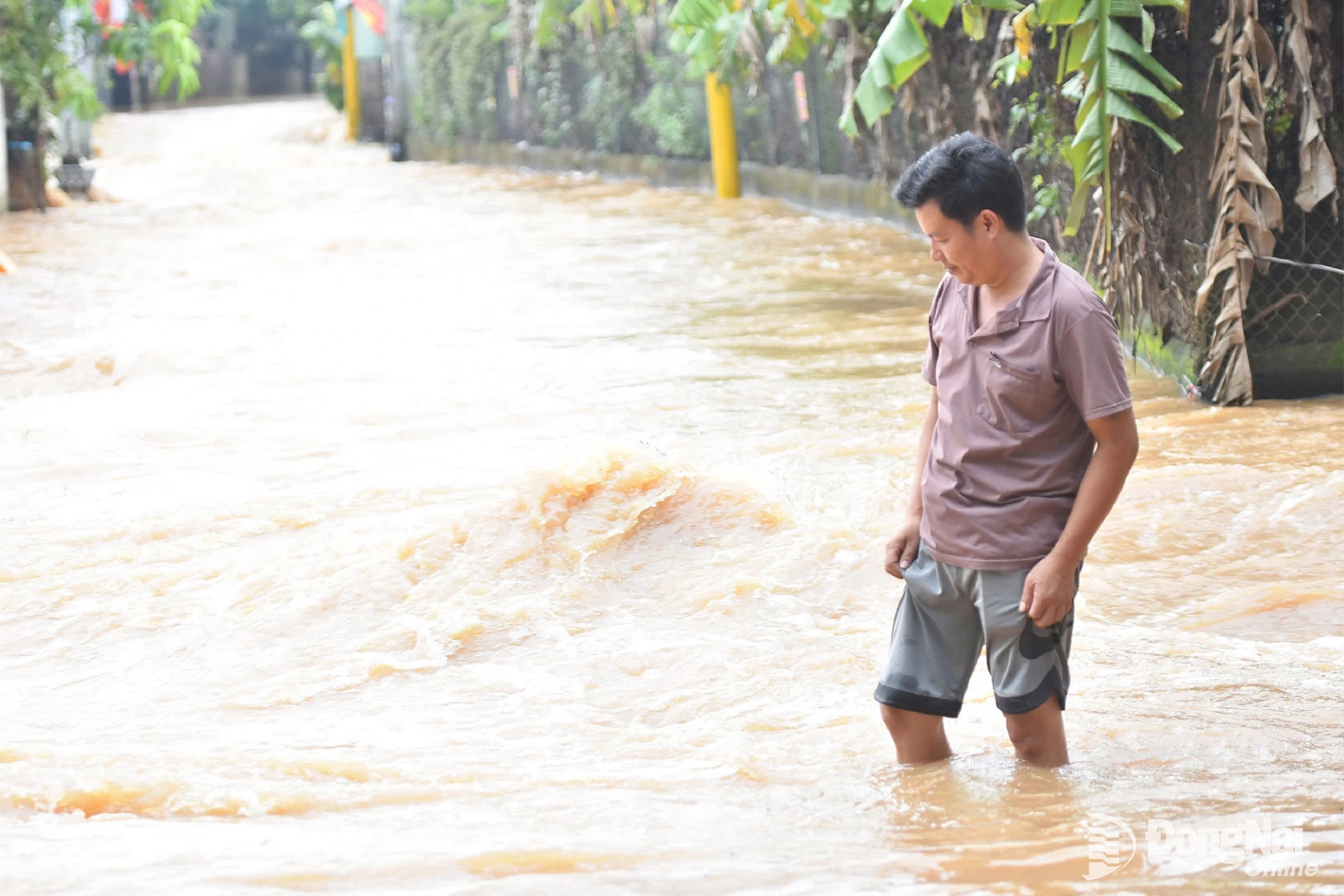 Nước sông Buông dâng cao gây ngập tại khu phố Hương Phước, phường Phước Tân ngày 22-10. Ảnh: LA