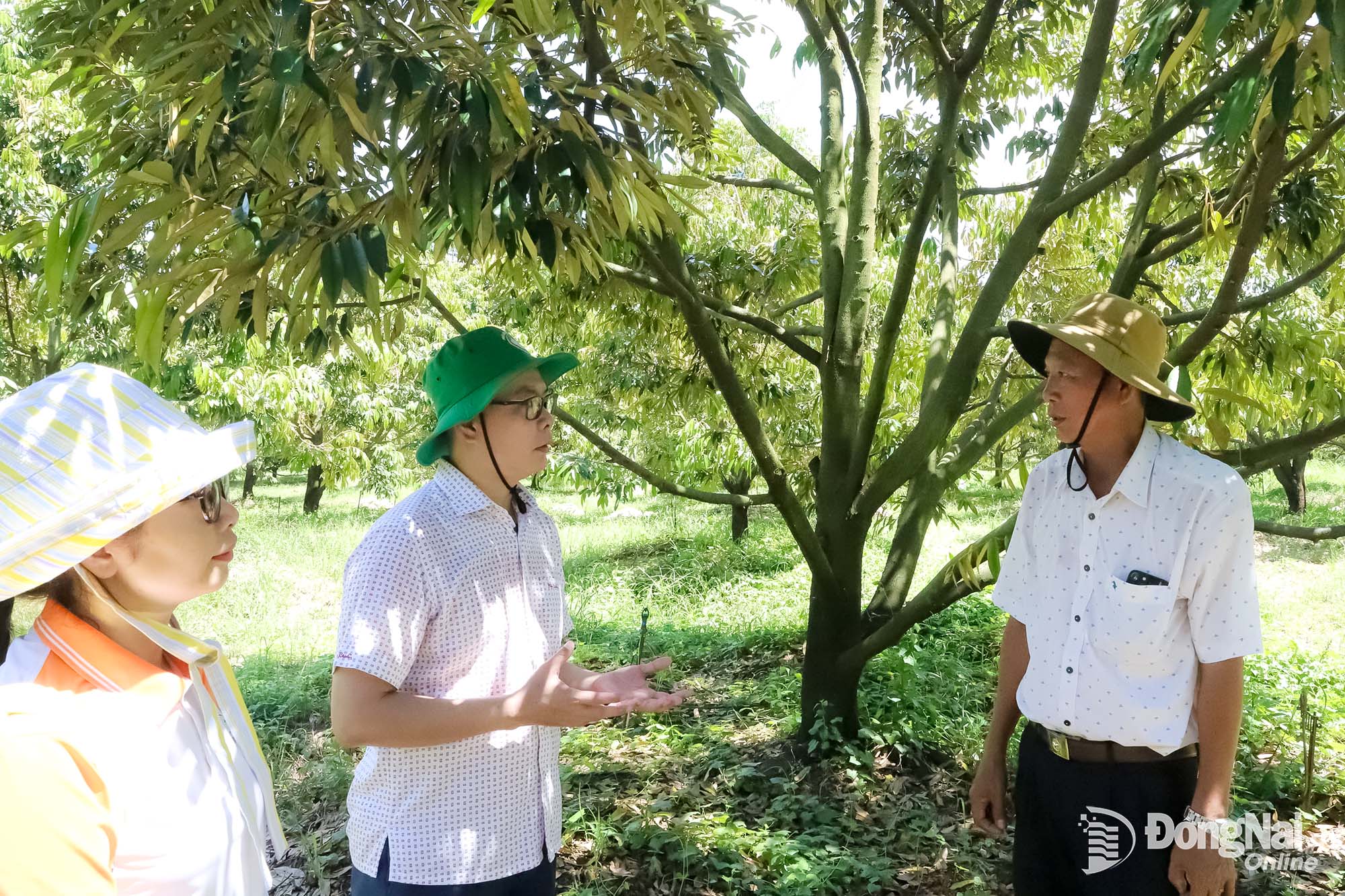 Chủ tịch UBND xã Thanh Sơn Võ Văn Trung (bìa phải) trực tiếp tham gia các video giới thiệu đặc sản, nông sản thế mạnh của địa phương trên nền tảng số.    