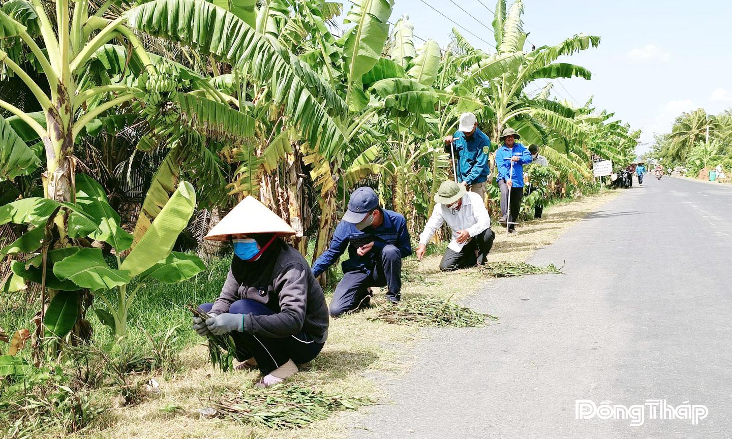 Người dân ấp Tân Ninh (xã Tân Thới) trồng hoa kiểng trên các tuyến đường nông thôn.