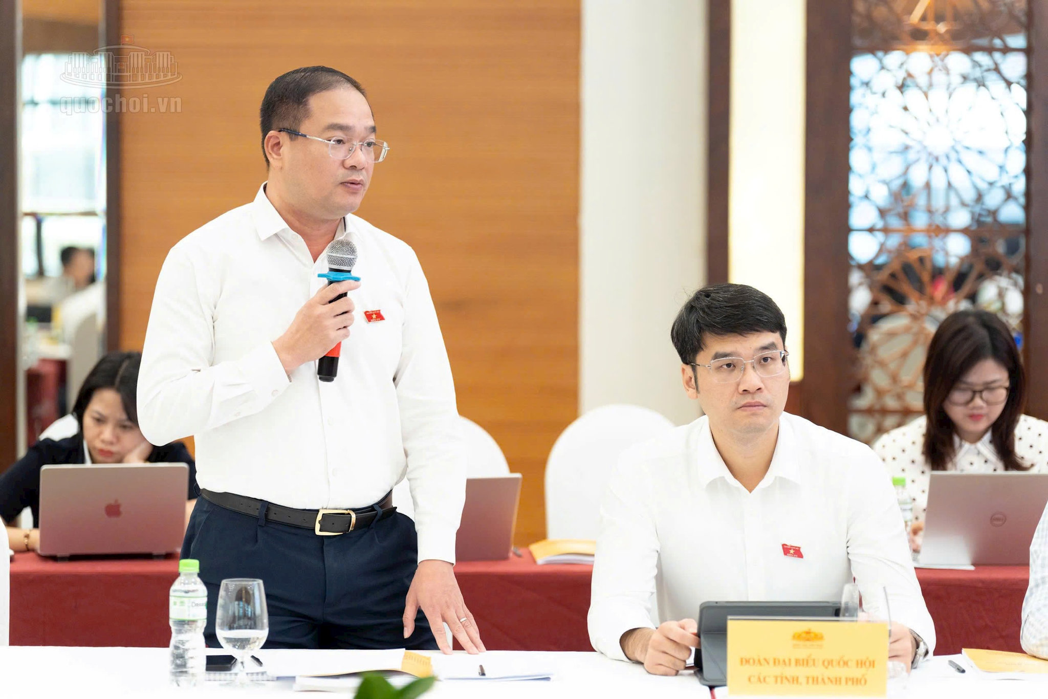 dai-bieu-ngoc-viet.jpg